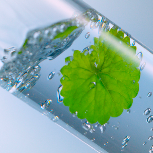 🌿Centella Asiatica — The Secret to Calm, Resilient Skin